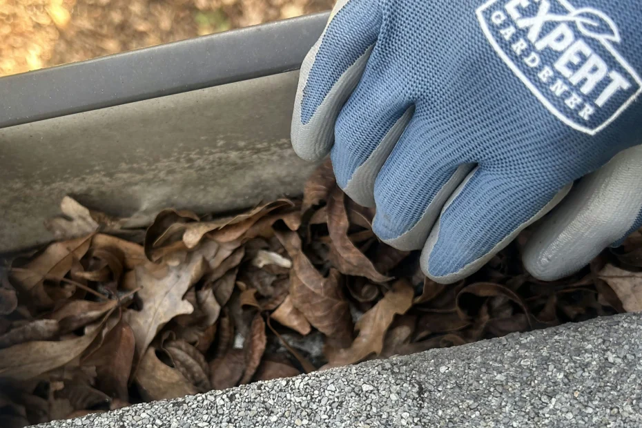 Gutter Cleaning Centreville