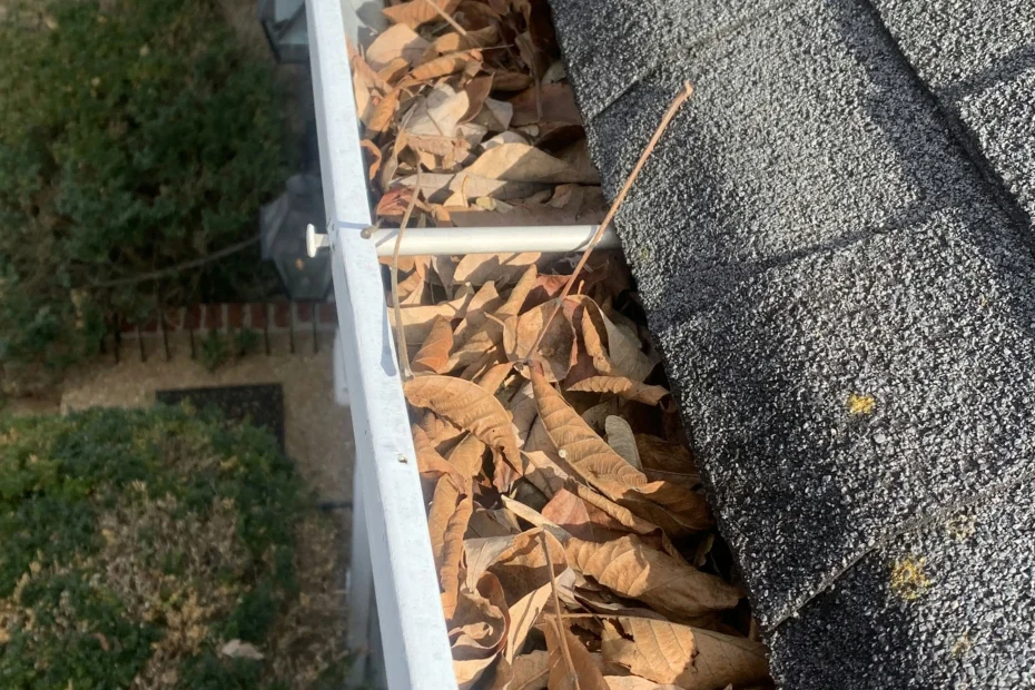 Gutter Cleaning Centreville