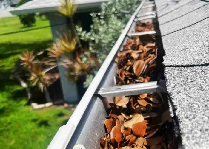 Gutter Cleaning Centreville home page